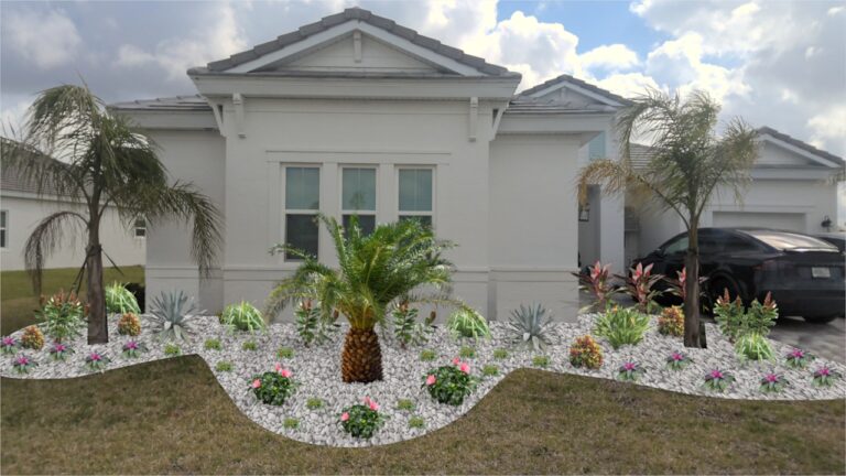 front yard 3