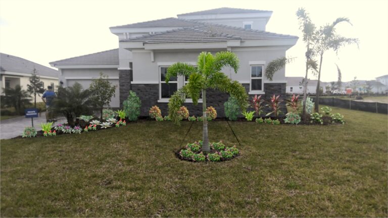 front yard